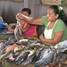 Nicaragua - Granada - market 21-05 2011 (61)
