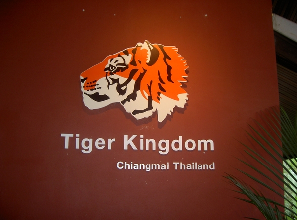 Thailand - Chiang mai Tiger Kingdom day 1 mei 2009 (1)