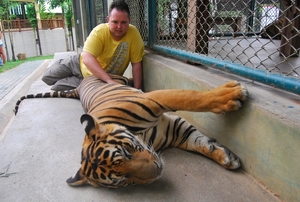 Thailand - Chiang mai Tiger Kingdom day 1 mei 2009 (103)