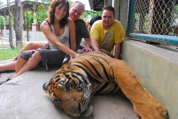 Thailand - Chiang mai Tiger Kingdom day 1 mei 2009 (105)