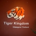 Thailand - Chiang mai Tiger kingdom day 2 Mei 2009 (1)