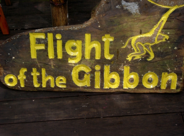 Thailand - Flight of the gibbon mei 2009 (1)