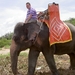 Thailand - Hua Hin - Cha-am  elephant ride mei 2009 (10)