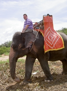 Thailand - Hua Hin - Cha-am  elephant ride mei 2009 (10)