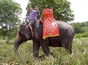 Thailand - Hua Hin - Cha-am  elephant ride mei 2009 (11)
