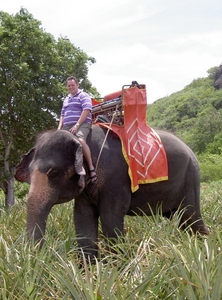 Thailand - Hua Hin - Cha-am  elephant ride mei 2009 (12)