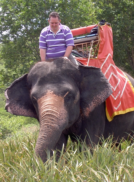 Thailand - Hua Hin - Cha-am  elephant ride mei 2009 (14)