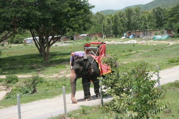 Thailand - Hua Hin - Cha-am  elephant ride mei 2009 (7)
