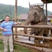 Thailand - Chiang mai- elephants feeding in Elephant nature park 