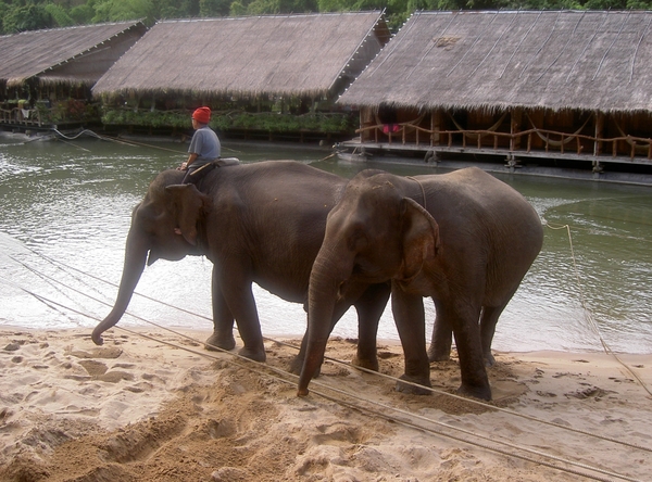 Thailand - Kanchanaburi  The River kwai jungle rafts mei 2009 (33
