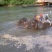 Thailand - Kanchanaburi  The River kwai jungle rafts mei 2009 (35