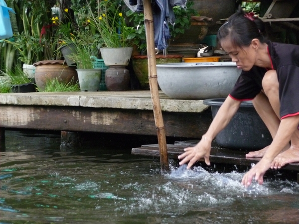 Thailand - Bangkok klong tour Chao praya rivier mei 2009 (12)