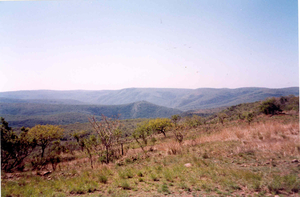 zicht op de heuvels rond Kigoma