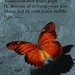 mooie kaart met vlinder