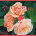 proficiat rozen rozen