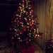 Kerstboom 2012 (4)