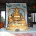 1 (240)geboorteplaats Budha