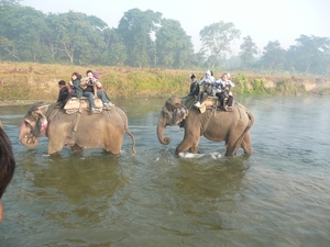 1 (246)Chitwan NP