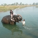 1 (254)Chitwan NP