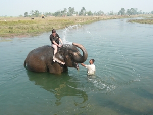 1 (254)Chitwan NP