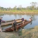 1 (258)Chitwan NP