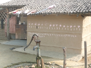 1 (265)Chitwan NP