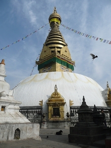 1 (308)Heilige Stupa Kathmandu