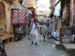 1 (95)Jaisalmer