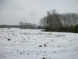 065-Winters landschap