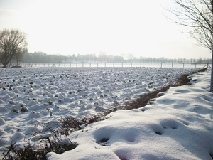 106-Winters landschap