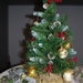 kerstfeest 2011 023