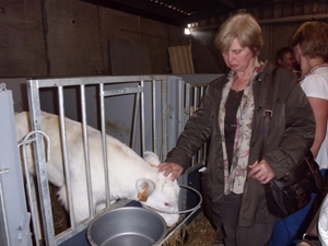 bezoek boerderij Blockeel 19.06.2012 006