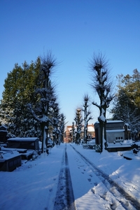 Sneeuwfoto\'s-2013