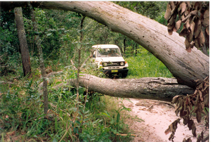 vluchtweg Kolwezi naar Zambia door de brousse
