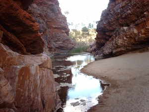 3x Kings Canyon - Alice Springs IMAG2644