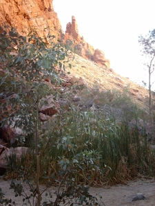 3x Kings Canyon - Alice Springs IMAG2648