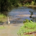 e 2012-06-03 Roemenië Tulcea_0023