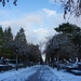 Roeselare(oud kerkhof) 7-12-2012