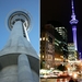 1a Auckland __sky tower  collage