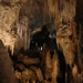 1c Waitomo caves _Natural habitat of the Angora Rabbit