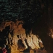1c Waitomo caves