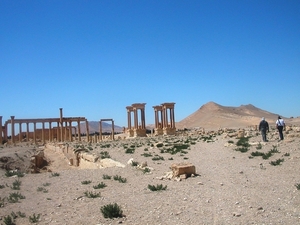 1  Palmyra _Decumanus en tetrapylon