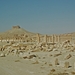 1  Palmyra _Romeinse site en de burcht Qal at Ibn Ma an