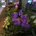 overal bloemen in luchthaven Bangkok