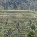 bali en lombok 479
