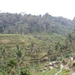 bali en lombok 482