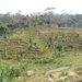 bali en lombok 484