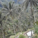 bali en lombok 485