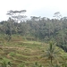 bali en lombok 489
