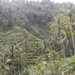 bali en lombok 830
